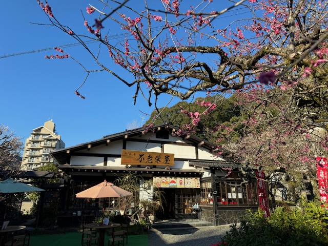 不老さかえ屋